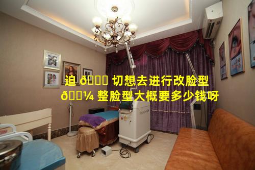 迫 🐅 切想去进行改脸型 🌼 整脸型大概要多少钱呀
